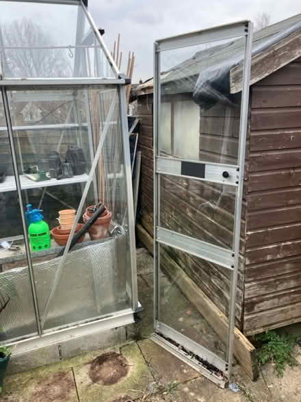 Photo of free Green house (Nailsea. BS48) #1