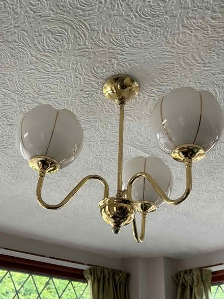 Photo of free Various lampshades (Caton) #2
