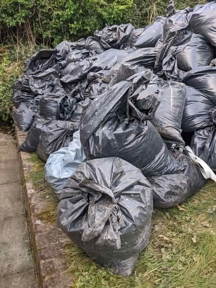 Photo of free Top soil Bagged (Hollingdean BN1) #1