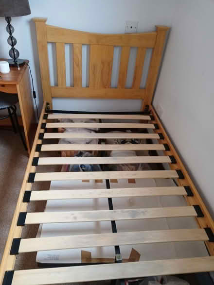 Photo of free Single bed frame (Stirling) #2