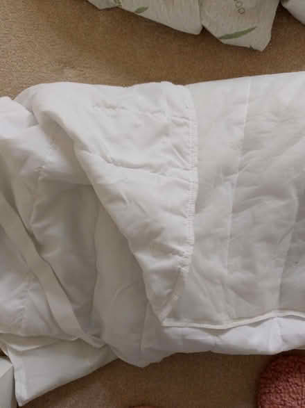 Photo of free Two single mattress protectors (Butts hill area BA11) #1