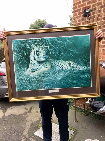 Photo of free Beautiful frame with glass (Heybridge- CM9) #1