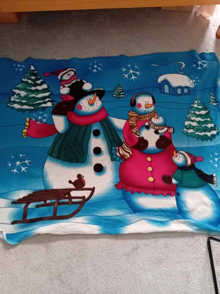 Photo of free 2 x fleece blankets (Corsham SN13) #3