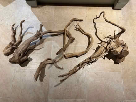 Photo of free Unused Aquarium wood/root (Lympstone EX8) #1