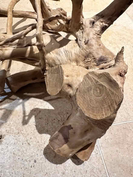Photo of free Unused Aquarium wood/root (Lympstone EX8) #3