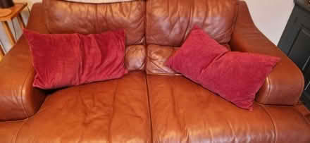 Photo of free 2 x rectangular feather / velvet cushions (Greystones S11) #1