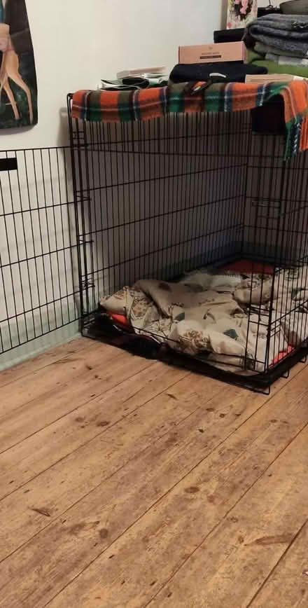 Photo of free Dog cage (BN3) #1