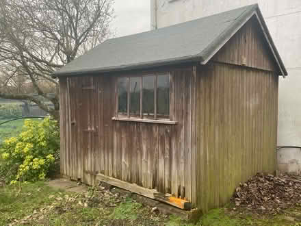 Photo of free 12 x 10 shed (Hinton Martell, Wimborne) #1