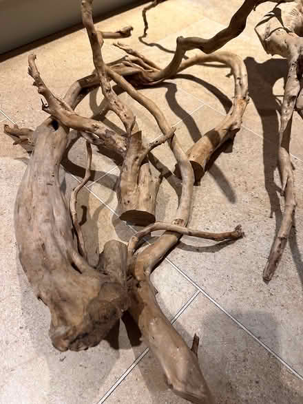 Photo of free Unused Aquarium wood/root (Lympstone EX8) #2