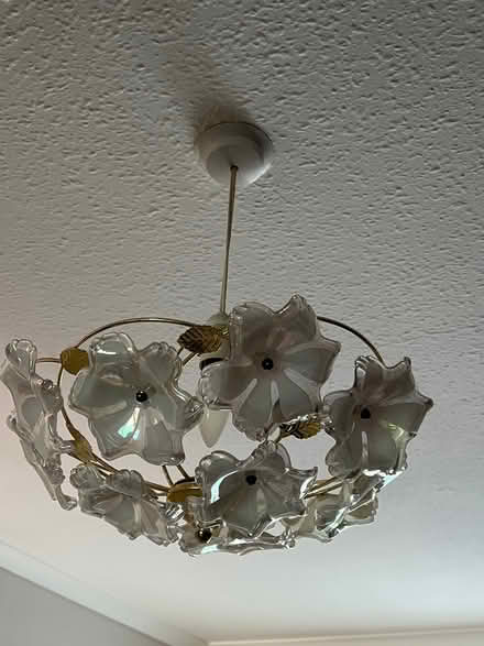 Photo of free Various lampshades (Caton) #4