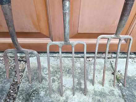 Photo of free Gardening forks (Bramley, Leeds LS13) #2