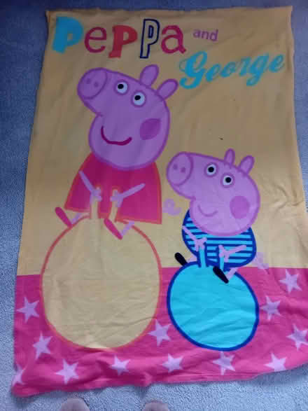 Photo of free 2 x fleece blankets (Corsham SN13) #2