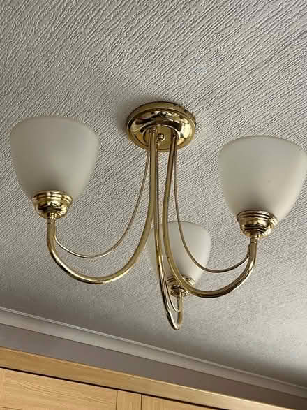 Photo of free Various lampshades (Caton) #3