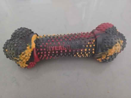 Photo of free Nylabone Chew Toy (Chinatown) #1
