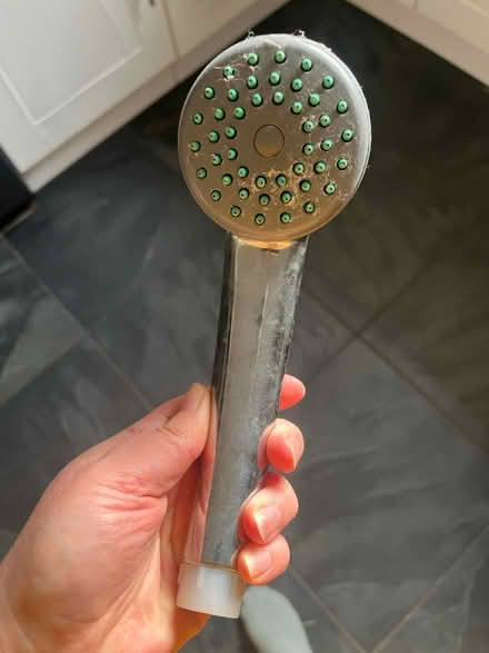Photo of free Shower head (Brookwood GU24) #1