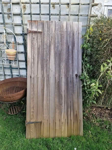 Photo of free Shed door (Great Baddow CM2) #1