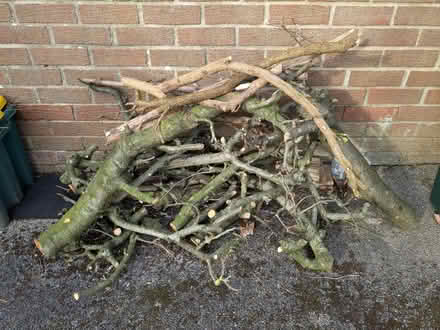 Photo of free Wood (Abraham Heights LA1) #1
