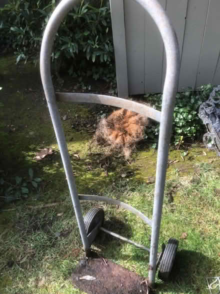 Photo of free Hand truck (San Jose) #1