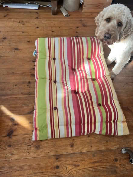 Photo of free Dog bed cushion (Hyde Heath HP6) #1