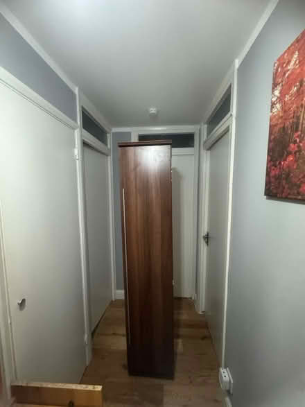 Photo of free Single wardrobe (EN11 8DQ) #2
