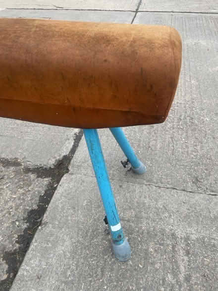 Photo of free Gym Horse (Oxford High School OX2) #3