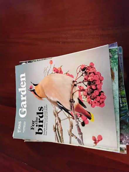 Photo of free Garden & Which Magazines (Stratford E15 4) #1