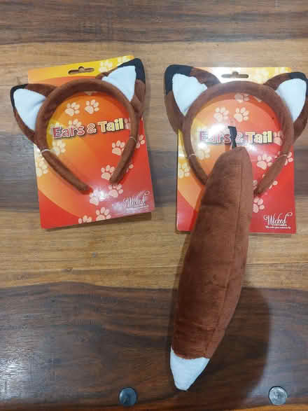 Photo of free Child's Animal hat and tail set x2 (Purley) #1