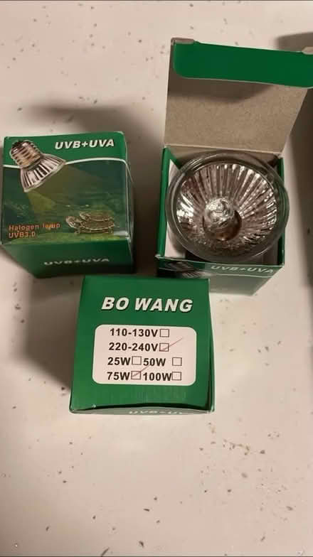 Photo of free Three free reptile bulbs (NE9 sheriffs hill) #1