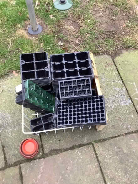 Photo of free Sowing trays (Caton LA2) #1