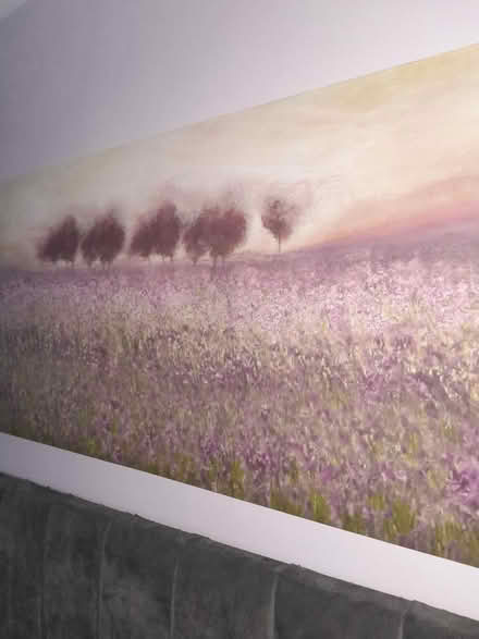Photo of free Canvas picture (Uffculme) #2