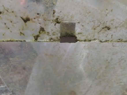 Photo of Greenhouse clip (Medway..) #1