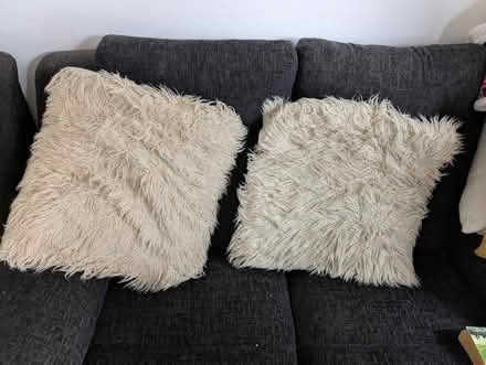 Photo of free Sheepskin style shaggy cushions (Hoo St Werburgh ME3) #1