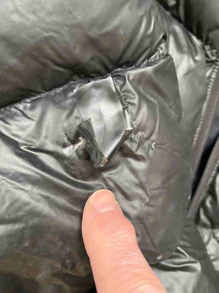 Photo of free Down Puffer Coat, Women's (Medford-Fulton Heights) #3