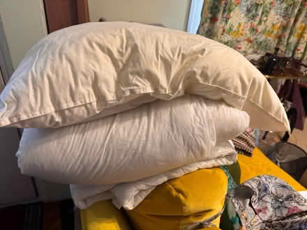 Photo of free Single duvet and pillow (NW10) #1