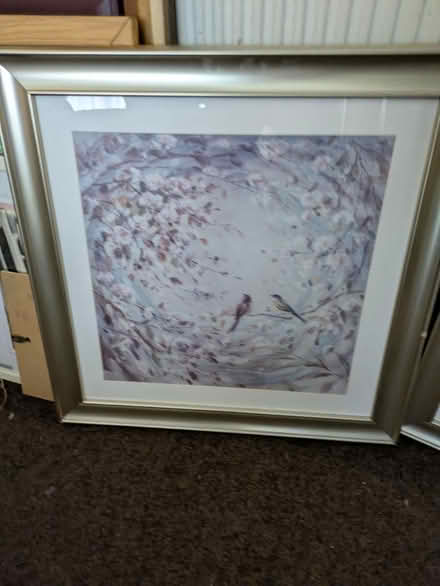 Photo of free Two pictures (Kingshurst B37) #3