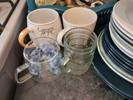 Photo of free Plates and cups (NW10) #1