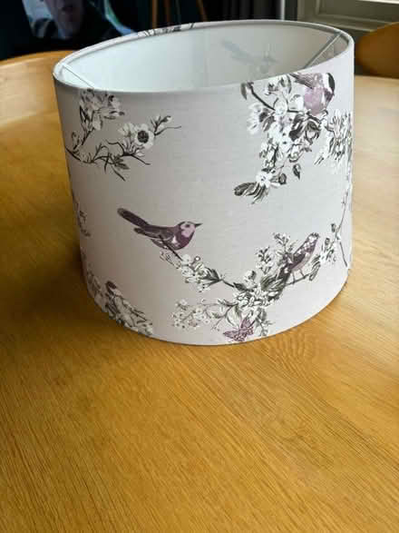 Photo of free Pretty lampshade (Leckhampton GL53) #1
