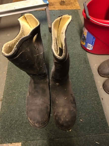 Photo of free Rugged Wellington Boots (Bilbrook WV8) #1