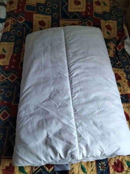 Photo of free Duvet (CA11) #1