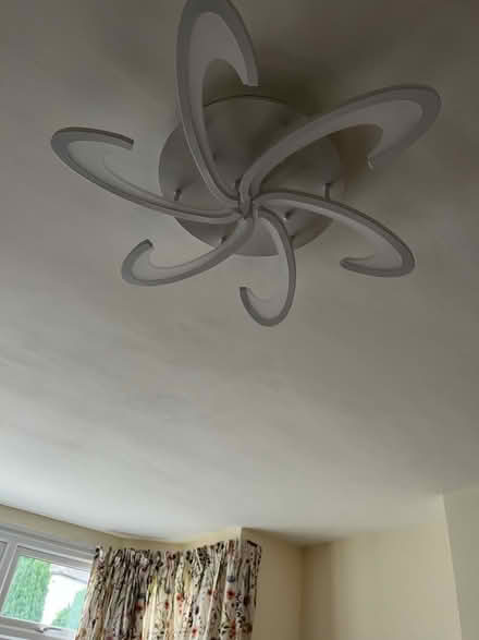 Photo of free Ceiling light (Beckenham BR3) #2