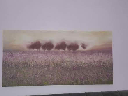 Photo of free Canvas picture (Uffculme) #1