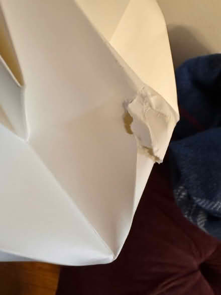 Photo of free Flower paper/card decoration Piñata (NW10) #4