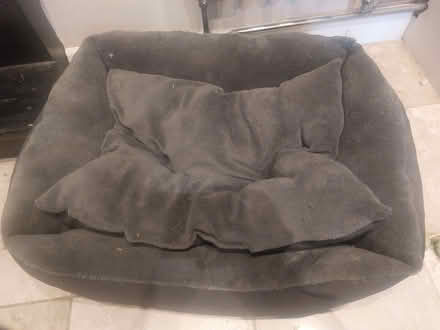 Photo of free Washable small dog or cat bed (Lower Weston) #1