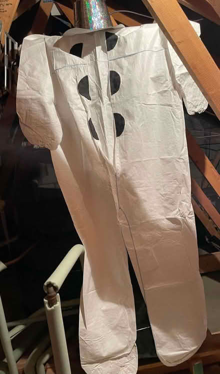 Photo of free Fancy dress for adults (PL21) #1