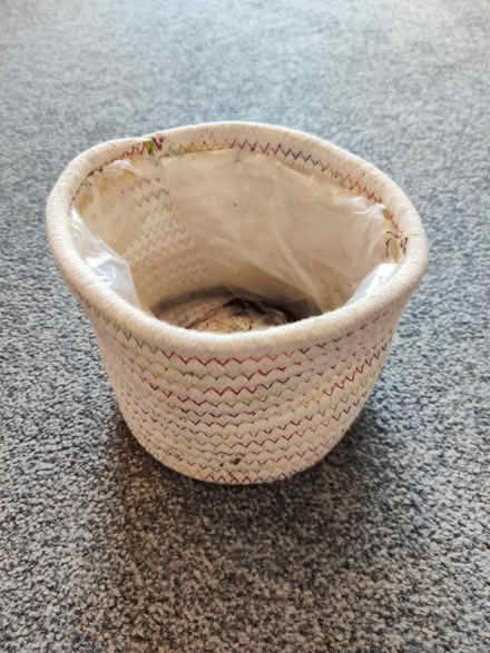 Photo of free Plant pot (Southsea PO5) #1