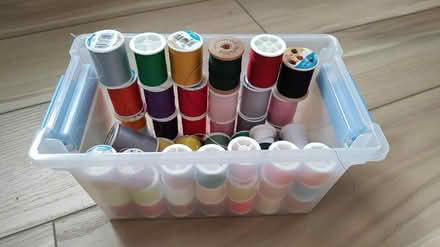 Photo of free Thread (Mount Prospect) #1