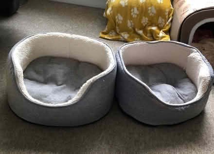 Photo of free TWO Dog Baskets (Penketh WA5) #1