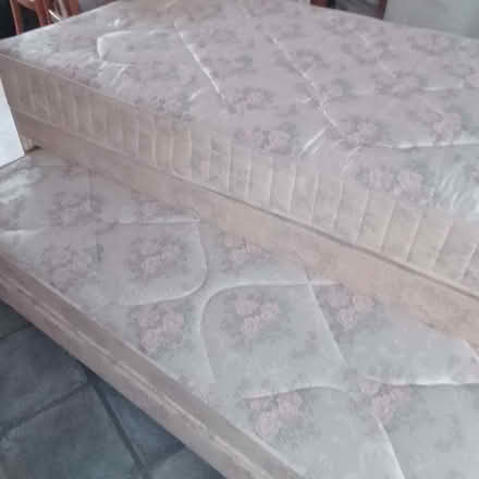 Photo of free Single bed (Brandon Village DH7) #1
