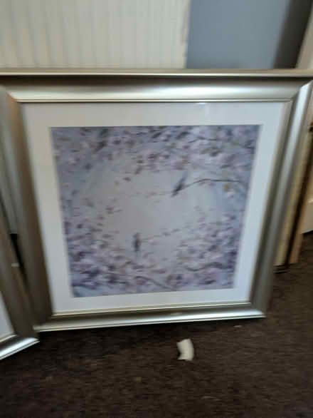Photo of free Two pictures (Kingshurst B37) #2