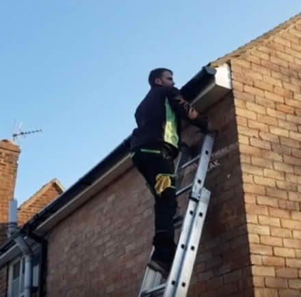 Photo of Tall Ladder (DA11) #1